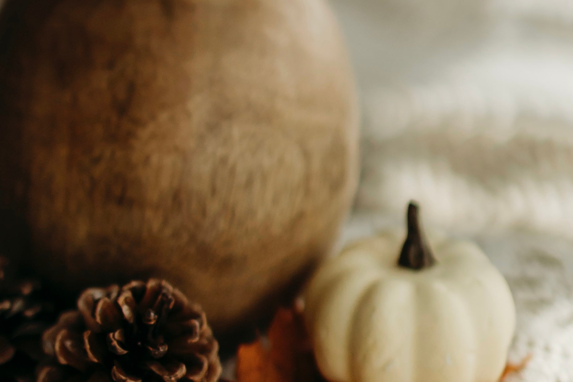 SHOP PAST COLLECTIONS